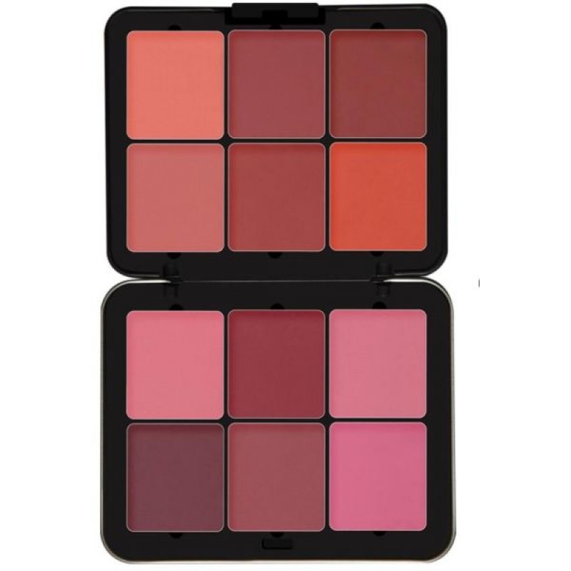 FUTURE MAKEUP HIGH DEFINITION - 12 Color Blusher P...