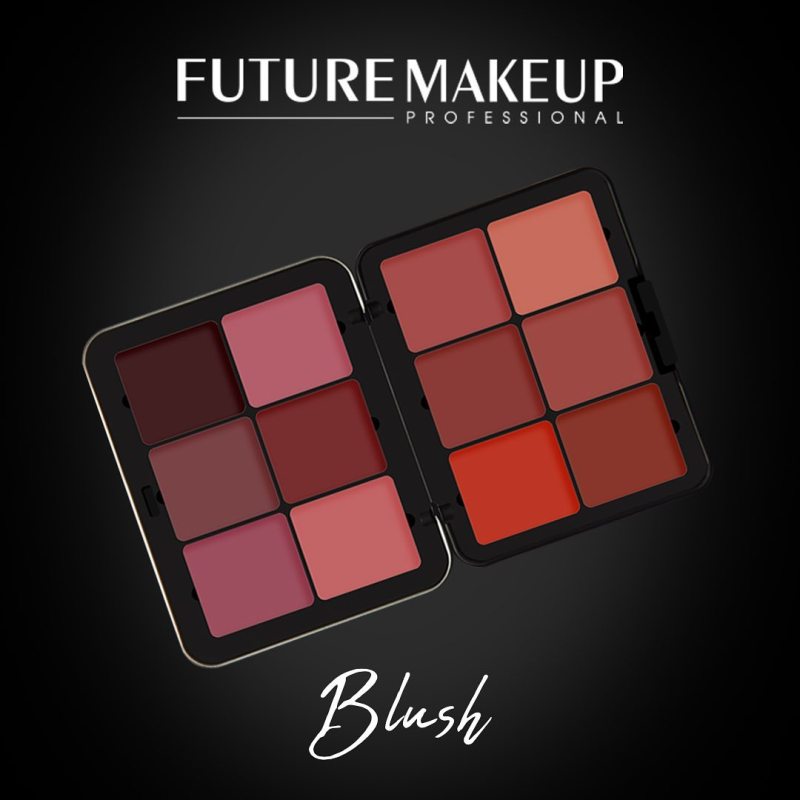 FUTURE MAKEUP HIGH DEFINITION - 12 Color Blush Cre...