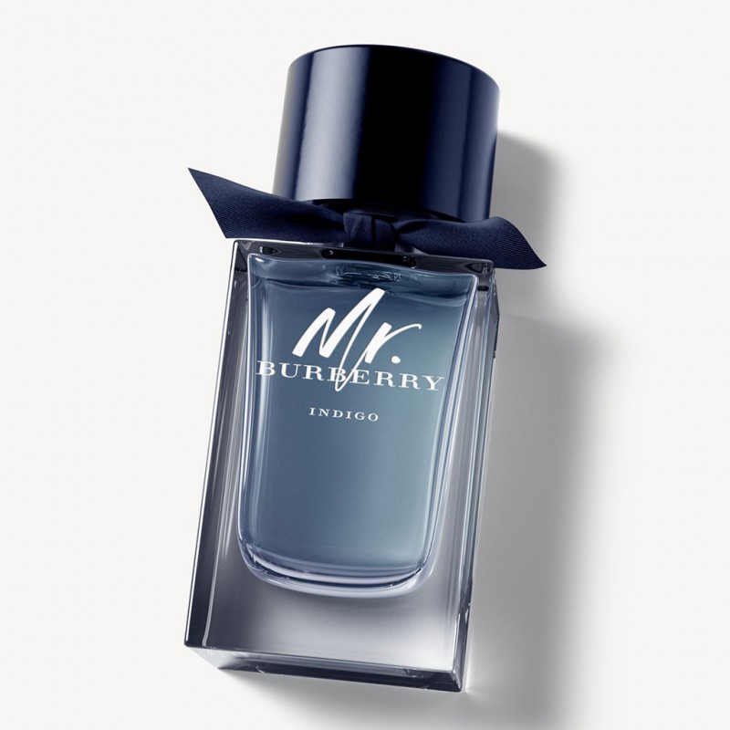 Burberry Mr Burberry Indigo EDT Spray 100ml