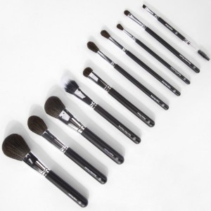 BH ULTIMATE ESSENTIALS Set of 10 Face and Eye Brushes with Case Set of 10 