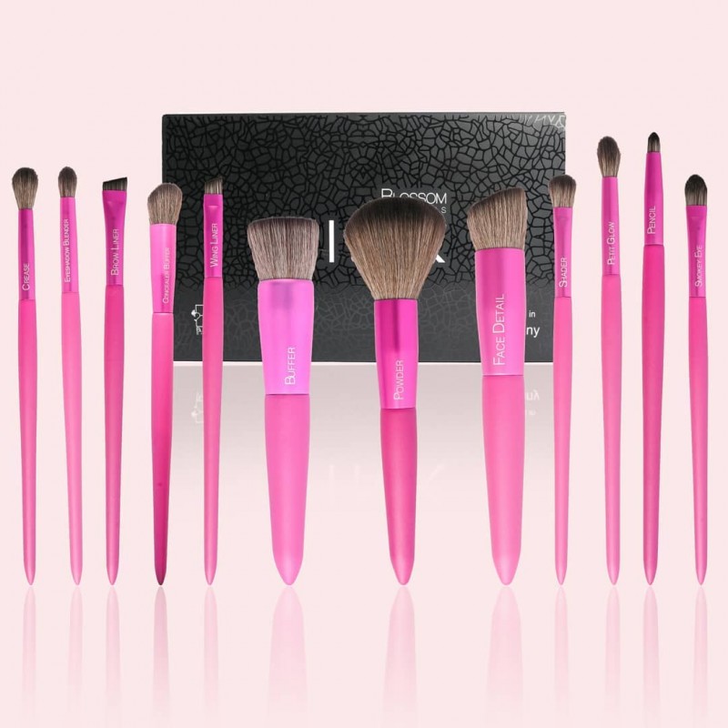 Pink Blossom Brush Set 12 Pieces